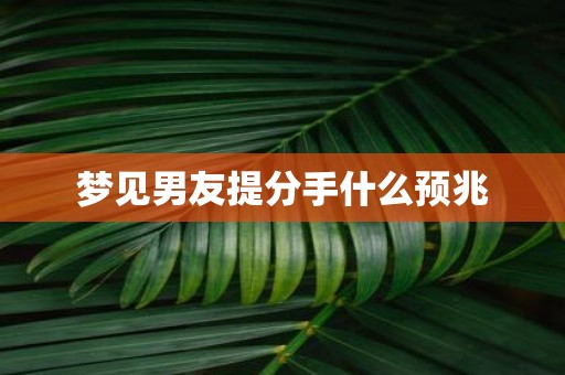 梦见男友提分手什么预兆
