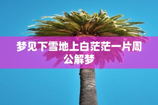 梦见下雪地上白茫茫一片周公解梦