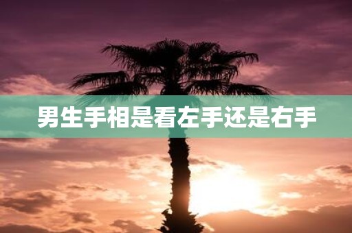 男生手相是看左手还是右手