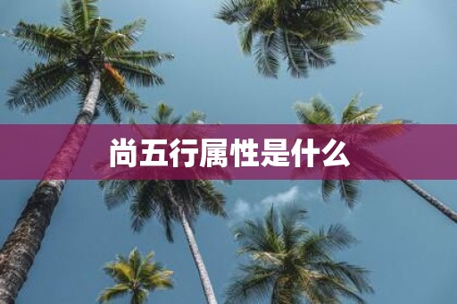 尚五行属性是什么