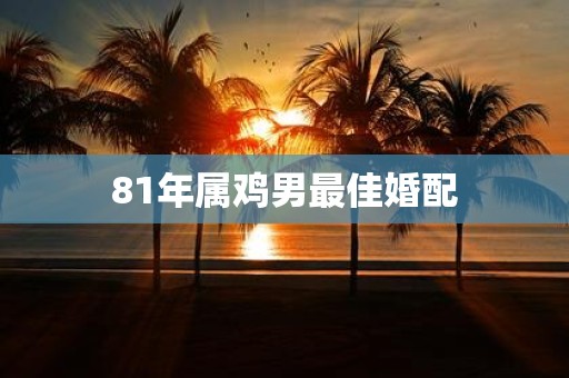 81年属鸡男最佳婚配
