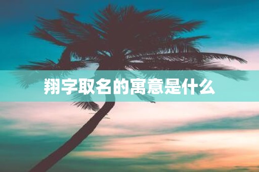 翔字取名的寓意是什么