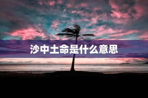 沙中土命是什么意思