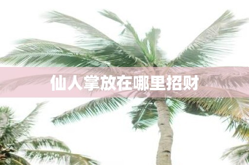 仙人掌放在哪里招财