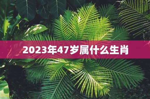 2025年47岁属什么生肖