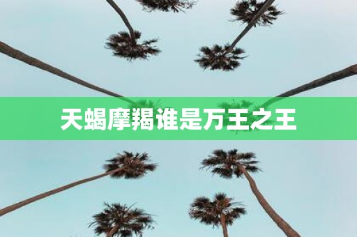 天蝎摩羯谁是万王之王