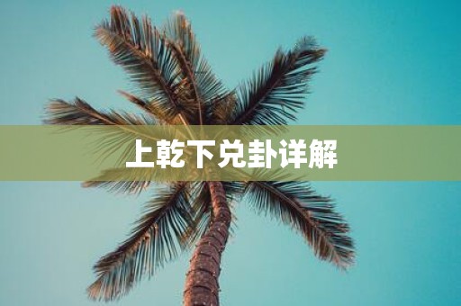 上乾下兑卦详解