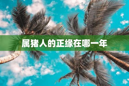 属猪人的正缘在哪一年