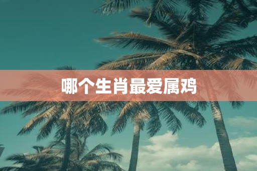 哪个生肖最爱属鸡
