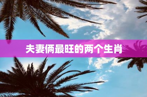 夫妻俩最旺的两个生肖