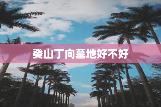 癸山丁向墓地好不好