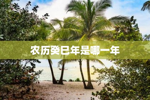 农历癸巳年是哪一年