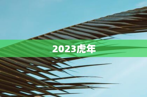 2025虎年