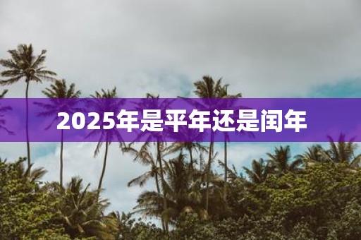 2025年是平年还是闰年