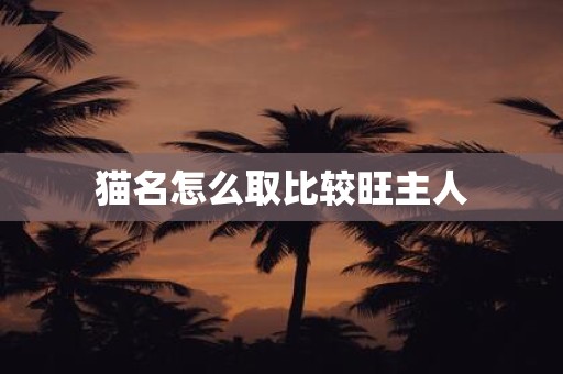 猫名怎么取比较旺主人
