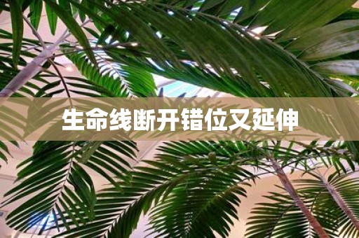 生命线断开错位又延伸