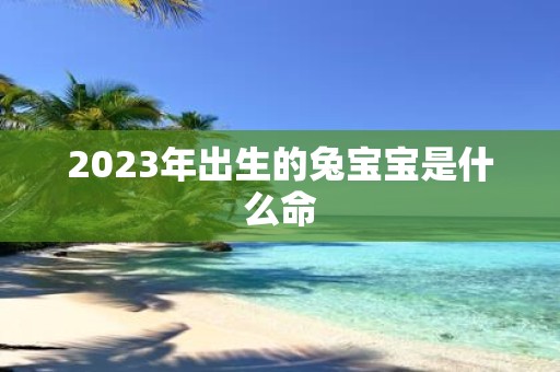 2025年出生的兔宝宝是什么命