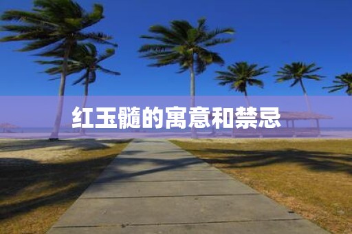 红玉髓的寓意和禁忌