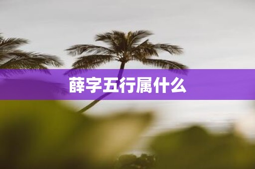 薛字五行属什么