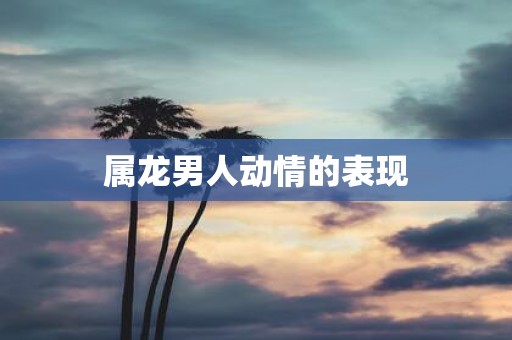 属龙男人动情的表现