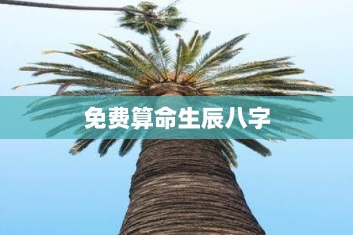免费算命生辰八字