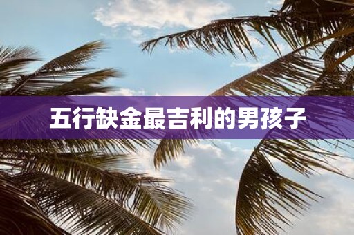 五行缺金最吉利的男孩子