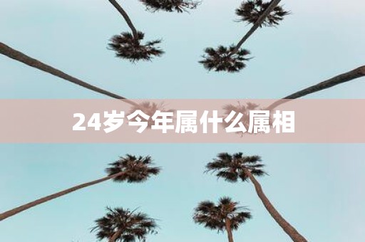 24岁今年属什么属相