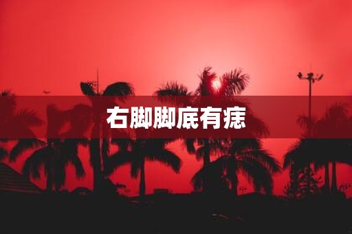 右脚脚底有痣