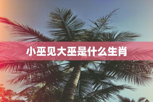 小巫见大巫是什么生肖