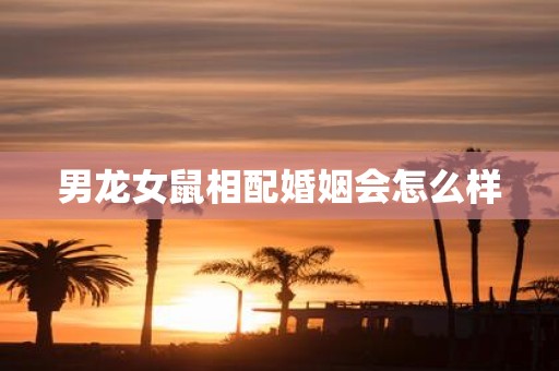 男龙女鼠相配婚姻会怎么样
