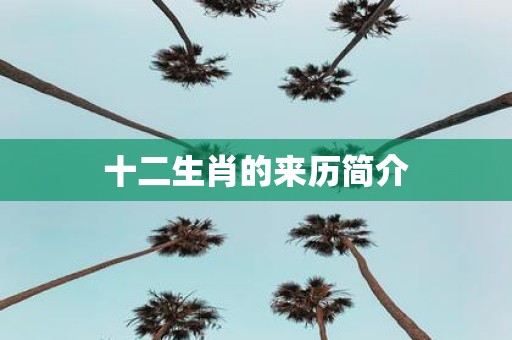 十二生肖的来历简介