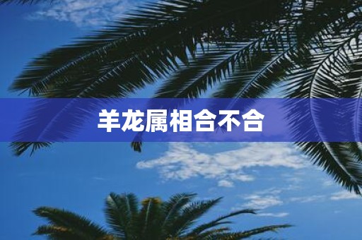 羊龙属相合不合