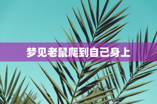 梦见老鼠爬到自己身上