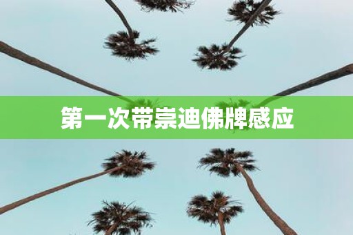 第一次带崇迪佛牌感应