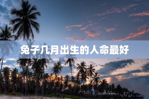 兔子几月出生的人命最好