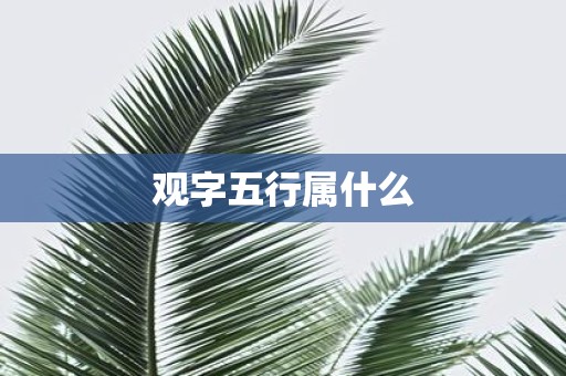 观字五行属什么