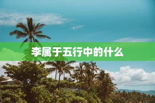 李属于五行中的什么