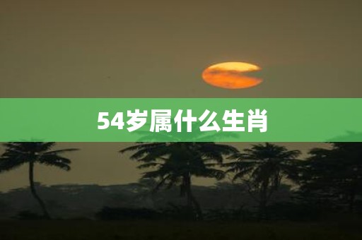 54岁属什么生肖
