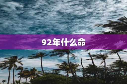 92年什么命