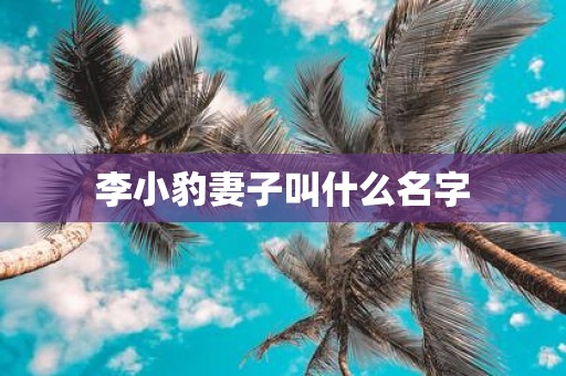 李小豹妻子叫什么名字