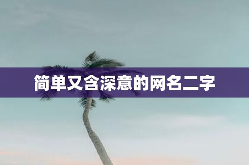 简单又含深意的网名二字