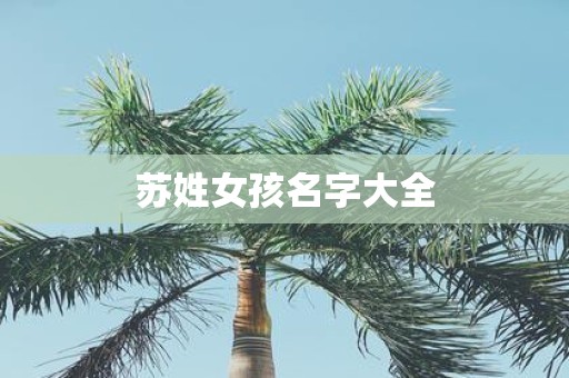 苏姓女孩名字大全