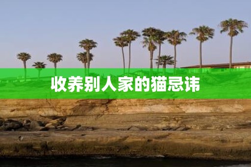 收养别人家的猫忌讳