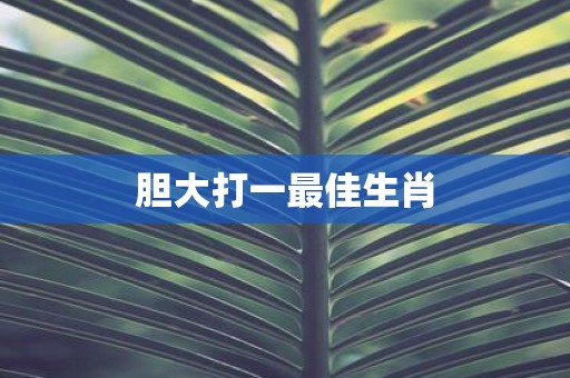 胆大打一最佳生肖