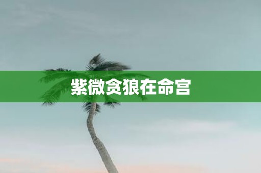 紫微贪狼在命宫