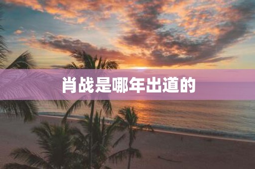 肖战是哪年出道的