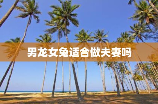 男龙女兔适合做夫妻吗