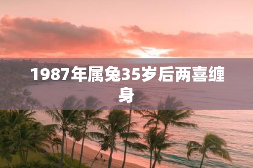 1987年属兔35岁后两喜缠身