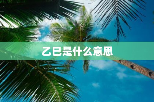 乙巳是什么意思