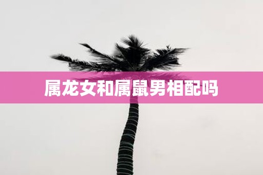 属龙女和属鼠男相配吗